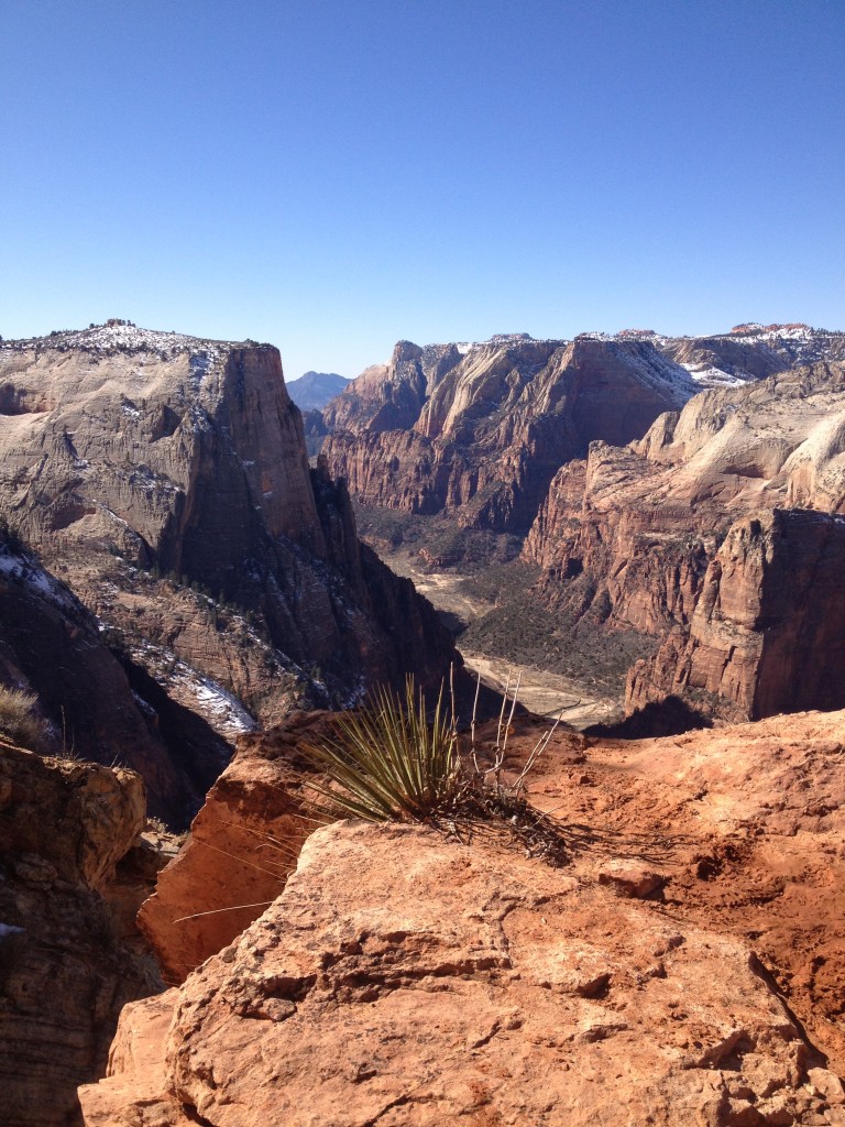 Zion National Park