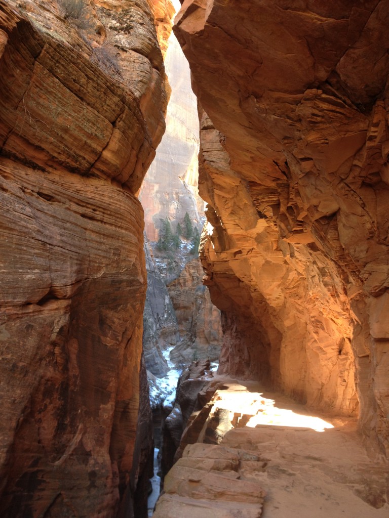 Zion National Park