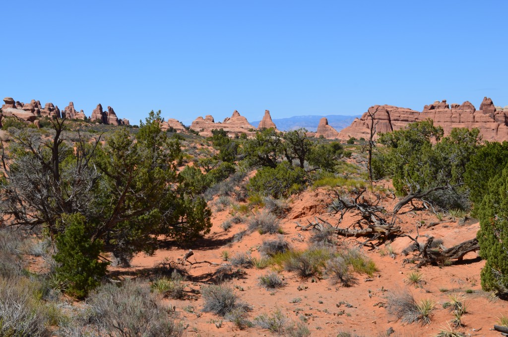 Arches National Park