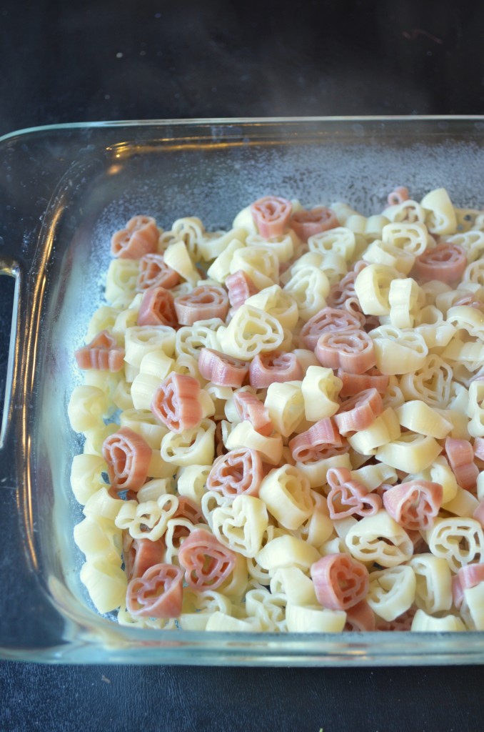 Macaroni & Many Cheeses