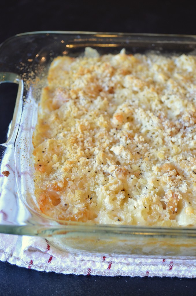 Macaroni & Many Cheeses