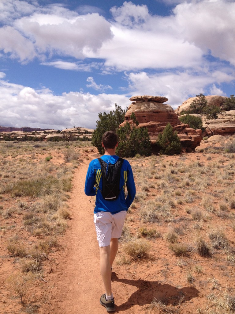 Needles, Canyonlands National Park