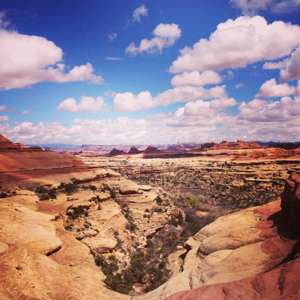 Needles, Canyonlands National Park