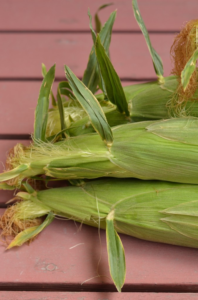 Elote (Mexican Corn Dip)