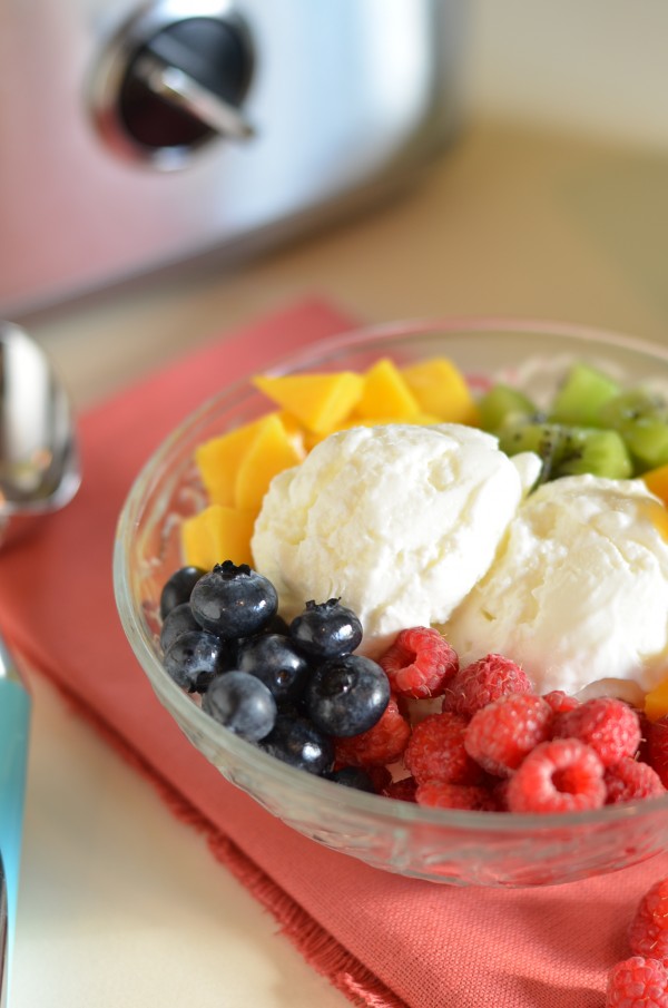 Creamy Plain Tart Frozen Yogurt Mix - Frozen Dessert Supplies