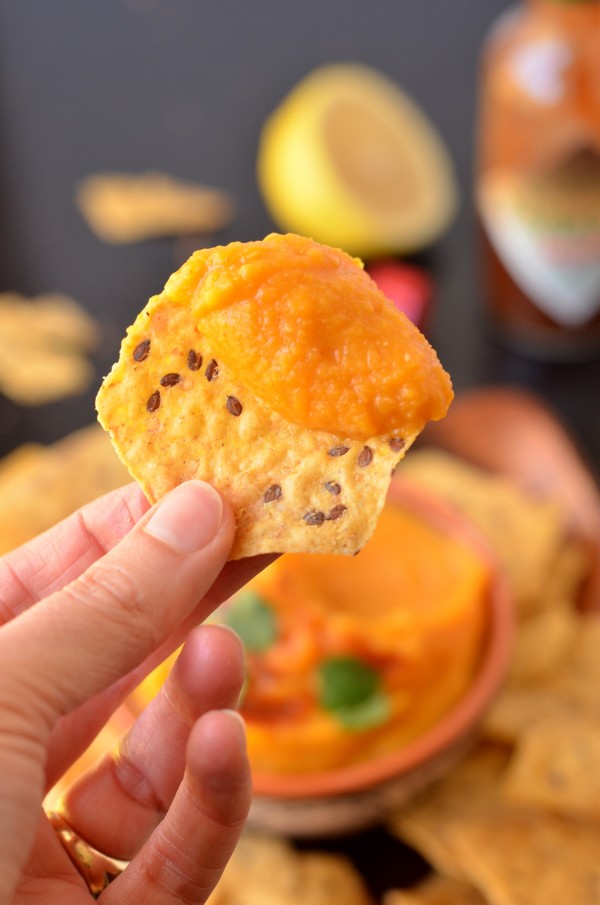 Chipotle Butternut Squash and White Bean Dip