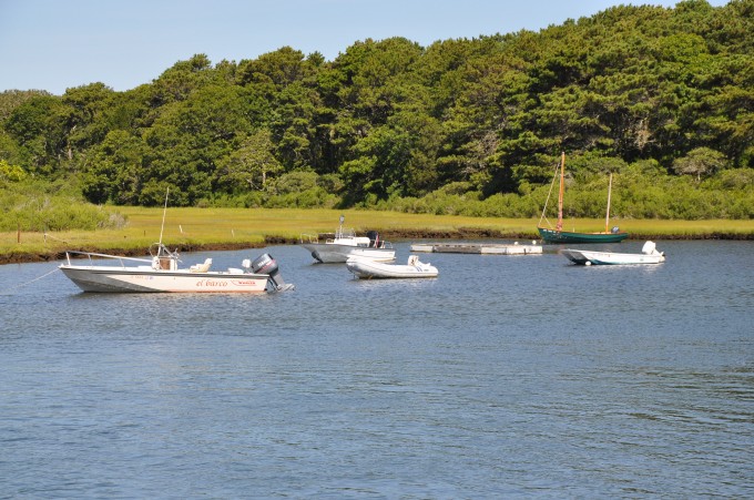 A Week on Martha's Vineyard