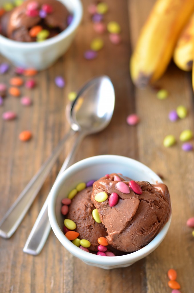 Chocolate SunButter Banana Ice Cream