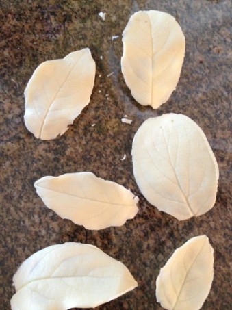 white chocolate leaves | coffee & quinoa