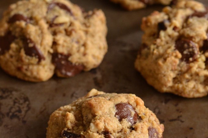 Chocolate Walnut Quinoa Cookies