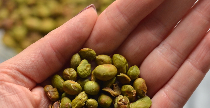 Crispy Dry Roasted Edamame | coffeeandquinoa.com